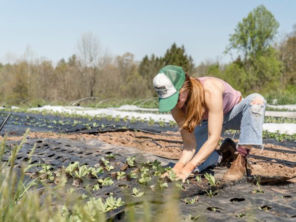 A woman busy planting her field