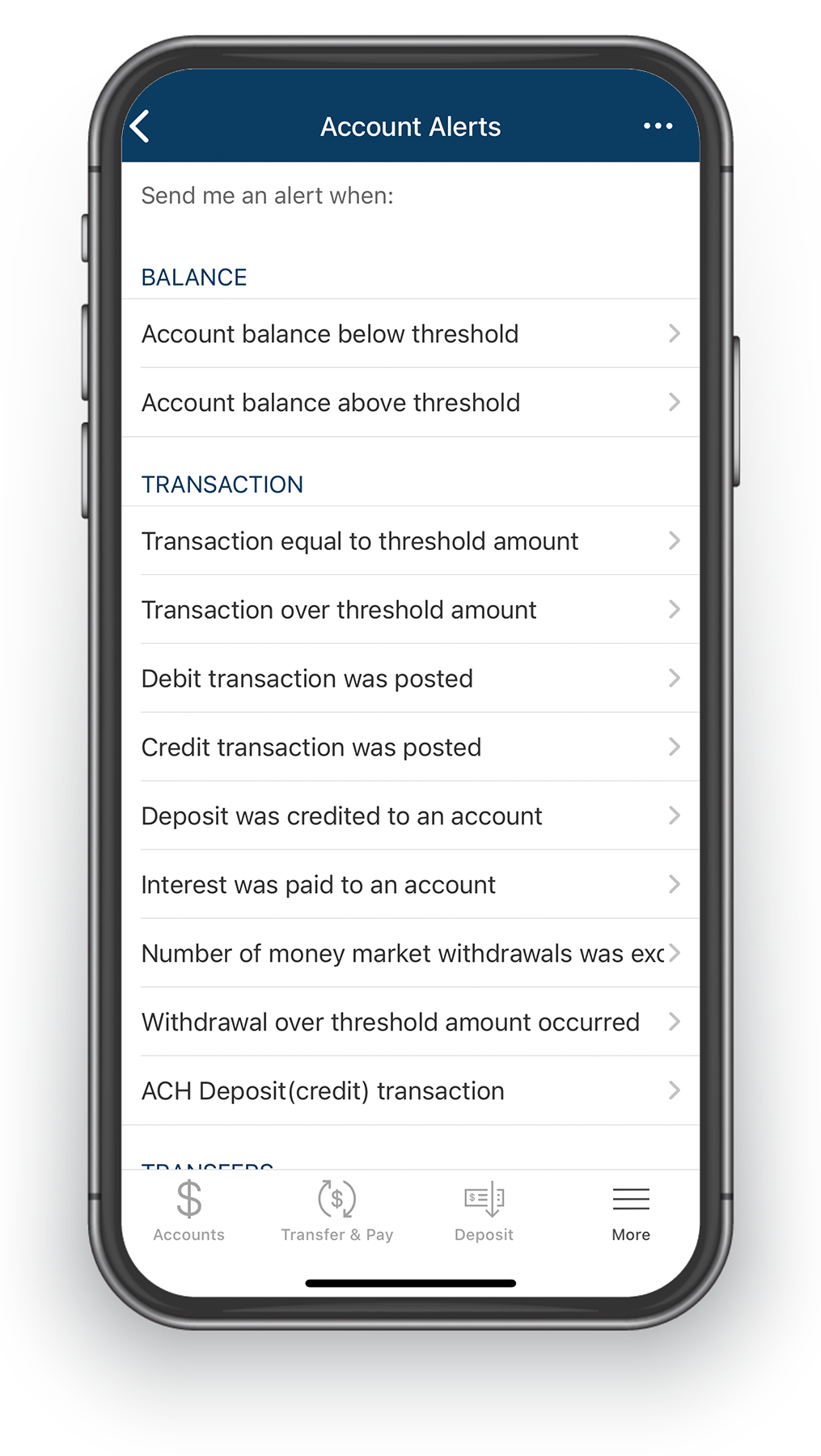 Online-Banking-Alerts