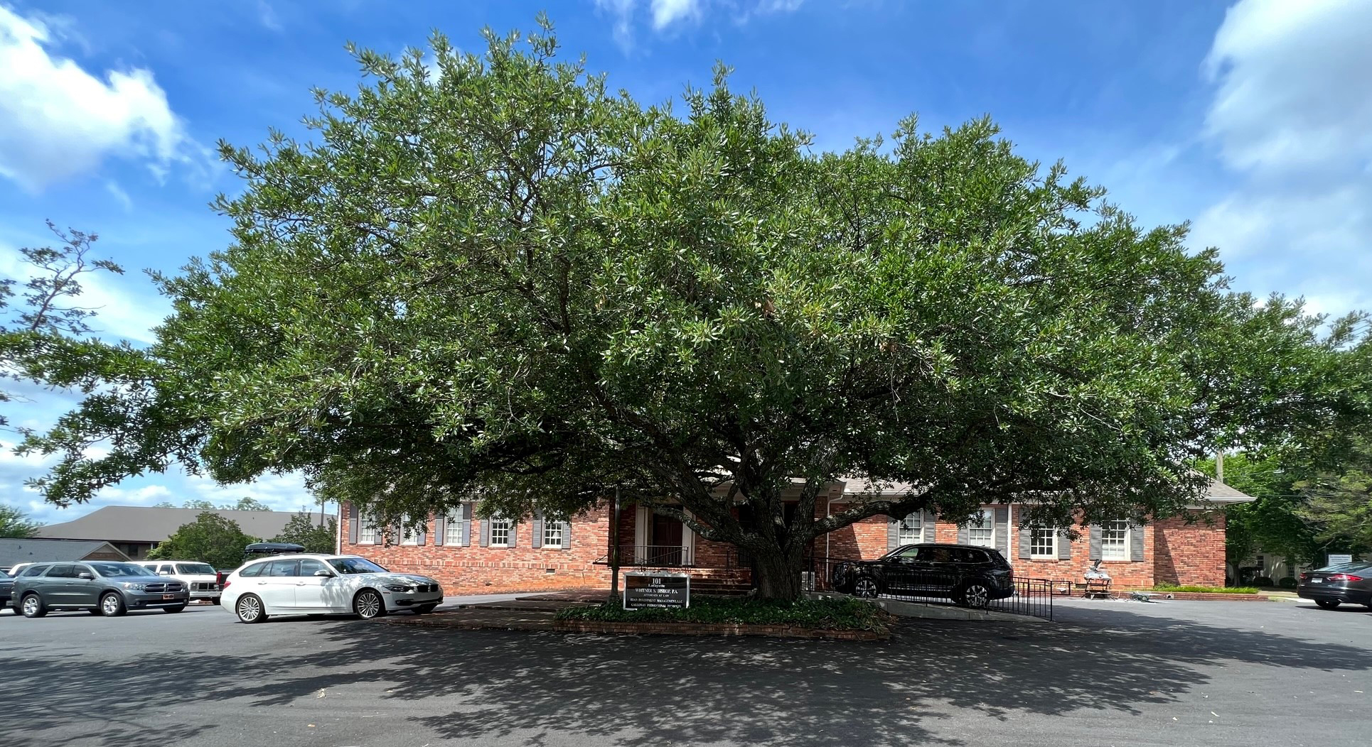 fidelity-bank-spartanburg-sc-branch-location