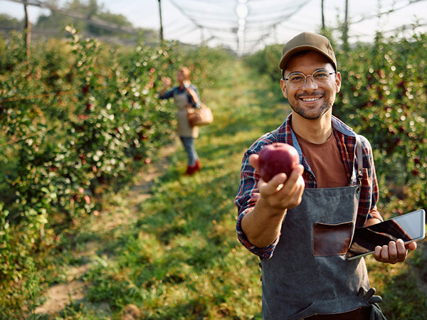 Businessman at an apple orchard, holding an apple in one hand and an iPad in the other